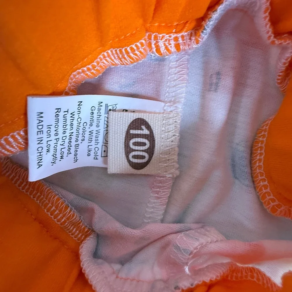 Orange Dinosaur Hoodie‎ and Jogger Pants Set Kids Size 100 New With Tags